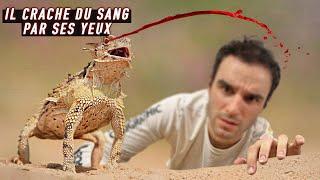 Les plus étranges réflexes des animaux !