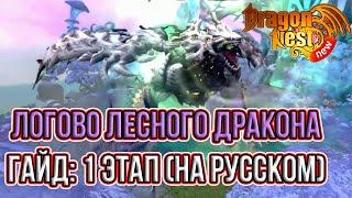 Гайд на Лесного Дракона: 1 Этап • New Dragon Nest