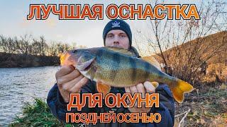 как ловить крупного окуня поздней осенью | JIG RIG как лучшая оснастка для осени | Лучшие места