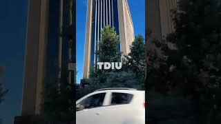 TDIU // Toshkent davlat iqtisodiyoti universiteti #tdiu #rek #narxoz #shorts