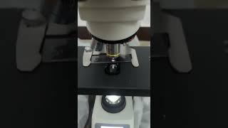 Exploring Precision: Trinocular Microscope ECO-128 Review & Specifications #viral #shorts