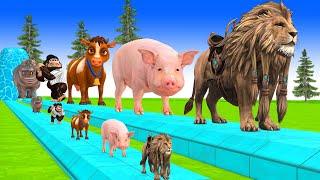 Paint & Animals Cow,Lion,Hippo,Pig,Gorilla Fountain Crossing Transformation Cartoon