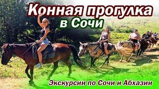 КОННАЯ ПРОГУЛКА В СОЧИ. ЭКСКУРСИИ ПО СОЧИ И АБХАЗИИ