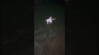 Scary TikTok don’t watch alone 