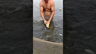 BALIQ OVI FISHING 2025