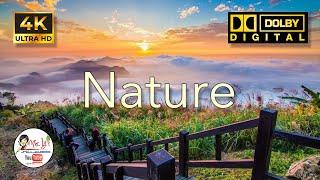 Immersed in nature: a musical journey through beautiful scenery