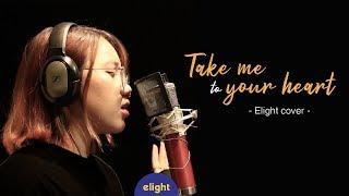 Học tiếng anh qua bài hát Take me to your heart | Elight cover