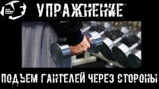 Упражнение: подъем гантелей через стороны \ Side raise