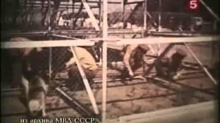 Олимпиада 80 - секреты безопасности