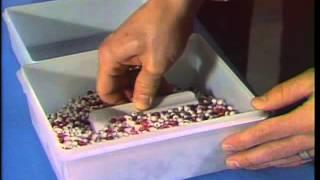 Red Bead Experiment with Dr. W. Edwards Deming