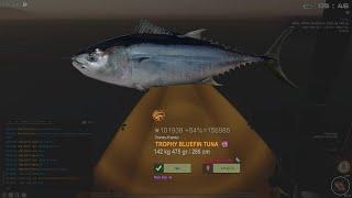 World record Bluefin Tuna Madeira The fisher Online tfo