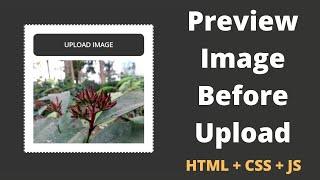 How to Preview an Image Before Upload using JavaScript