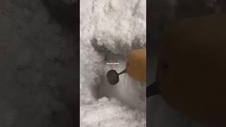 ASMR FREEZER FROST SCRAPING EATING