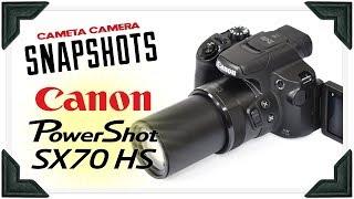 Cameta Camera SNAPSHOTS - Canon SX70 HS 65x Zoom Digital Camera