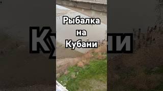 Рыбалка на Кубани