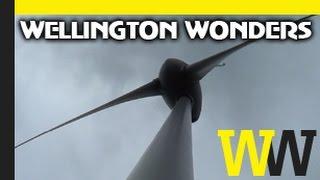 Brooklyn Wind Turbine | WELLINGTON WONDERS