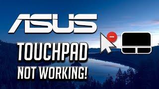 Asus Touchpad Not Working Windows 10/8/7 [2024 Tutorial]