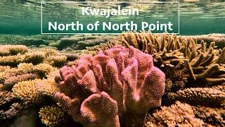 Snorkel Guide - North of North Point, Kwajalein, Marshall Islands