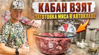 ТРОФЕЙНЫЙ КАБАН ДОБЫТ // ЗАГОТАВЛИВАЮ МЯСО // КАБАНЯТИНА В АВТОКЛАВЕ