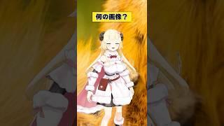 これはよく見る毛並みだね！！【 #今日のわため 】 #shorts #hololive #vtuber