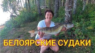 БЕЛОЯРСКИЕ СУДАКИ В ЖАРУ///ТРОЛЛИНГ///