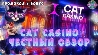 Обзор cat casino | Промокод Cat казино | Бонус Кэт казино №5