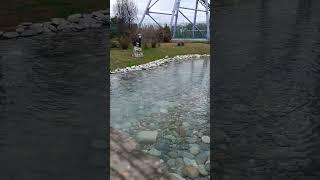 Озеро в Олимпийском парке  #озеро #водоем #олимпийскийпарк #сочипарк #адлер #сочипарк