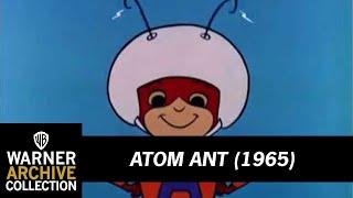 Theme Song with Lyrics | Atom Ant | Warner Archive