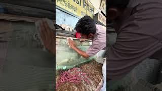 Omni Van per polish Karva De or Kanch Lagwa Diya || minivlogs #minivlog #shortvideo #vlog #shorts ￼￼