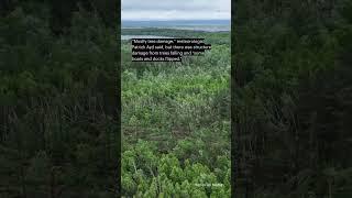 Tornadoes take down trees, damage boats, docks across Lakes Country