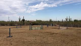 HUNTER EQUITATION 2'