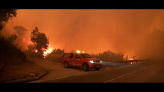 10 anys de l'incendi forestal de l'Empordà - Lliçons apreses