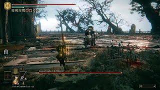 Wrecking Loretta Knight of the Halig Tree Boss Battle No Ashes or Summoning Run - ELDEN RING