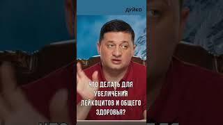 Что делать для увеличения лейкоцитов и общего здоровья?