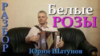 Белые розы. Разбор на гармони. Николай Гарбузов