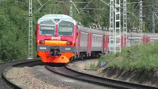 Russian freight and passenger trains in the summer. Siberia