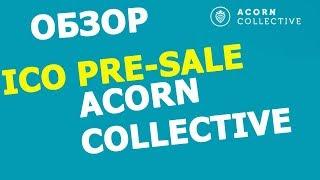 Обзор ICO 2018 pre-sale Acorn collective