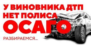 У виновника нет полиса ОСАГО? Разбираемся с проблемой