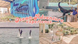 Ocean Adventure Subic Bay animal shows