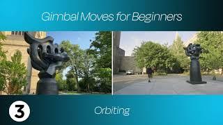 basic gimbal movements