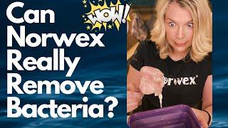 Can Norwex Really Remove Bacteria?