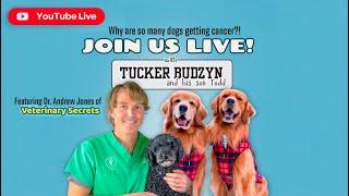 LIVE: Why Are So Many Dogs Getting Cancer and What Can Be Done About It? | With Dr. Andrew Jones