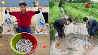 Bhot Sari Fishes La Ay Pet House Ma|| Hammad pet house