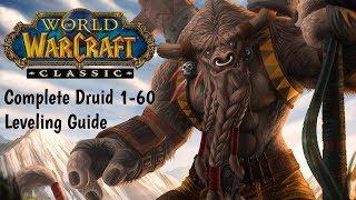 Druid Classic WoW leveling Guide , Class quests, Macros, Addons, Mobility, Stats