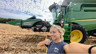 Little Corn, Beans, and Rain. Day 6 of Harvest