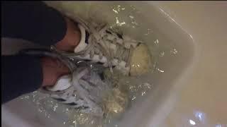 Wetlook - Elisabetta in wet old Adidas