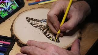 Woodburning a Tiger Swallowtail Butterfly