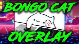 HOW TO GET AND SET UP BONGO CAT CAM V2 IN STREAM LAB OBS, OBS