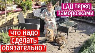 СРОЧНО ДЕЛАЕМ ЭТО ПЕРЕД ЗАМОРОЗКАМИ и ПОСЛЕ! Готовим растения к зиме!