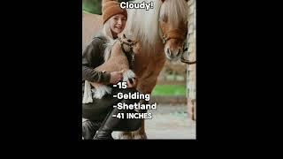 Finally with the ponies' height this time! #equestrain #harlow #fyp #edit  @HarlowLunaWhite